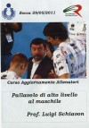 Pallavolo di alto livello al maschile (Schiavon 29/05/2011)