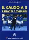 Il Calcio a 5